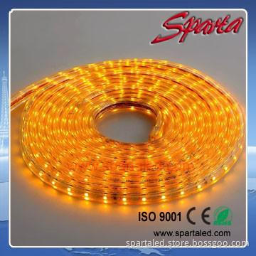 Chrismas decoration 220V LED rgb strip light SMD5050 from China factor